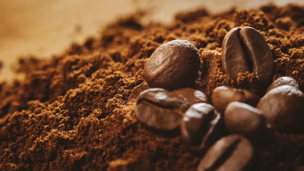 A origem do café curiosidades sobre o café